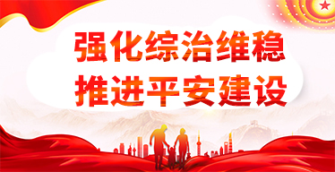 强化综治维稳 推进平安建设